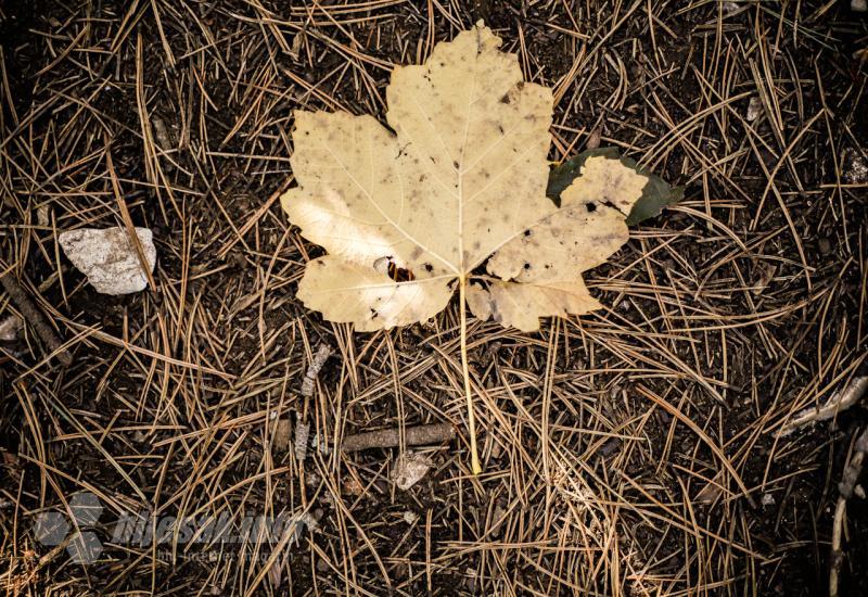 Jesenja idila na Rujištu - FOTO|Odmorite oči: Jesenja idila na Rujištu